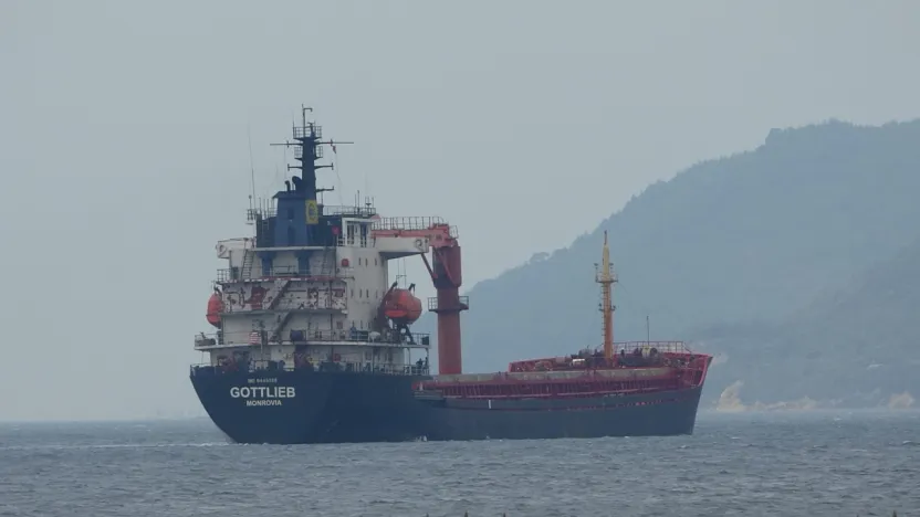Tunus'tan Kocaeli'ye gelen gemi arıza yaptı