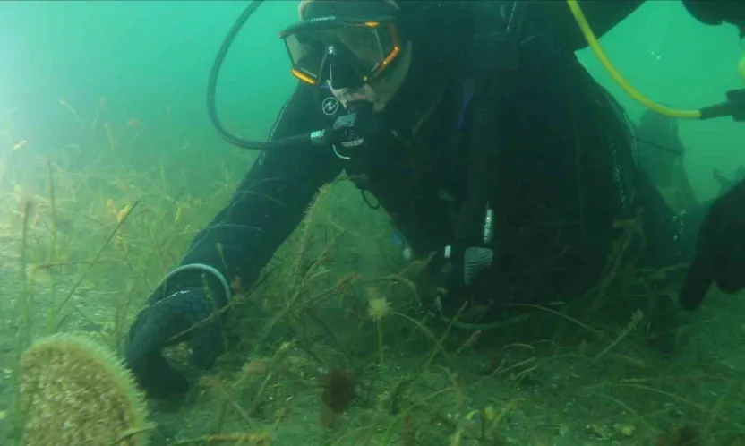 Belediye başkanı dalış yaptı, su altından müjdeyle çıktı