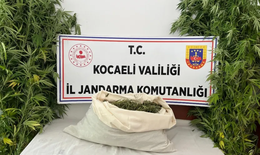 Evini uyuşturucu serasına çevirdi