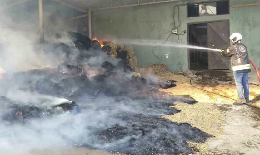 Harada çıkan yangında 70 balya saman yandı