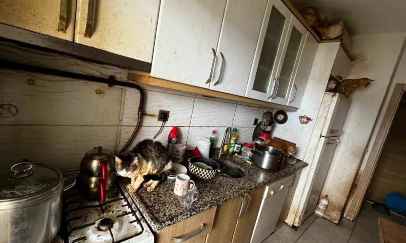 Kapı açılınca karşılaşılan manzara şoke etti