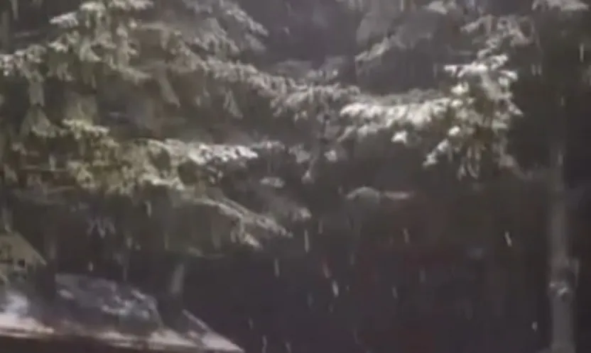 Kartepe'ye mevsimin ilk karı düştü