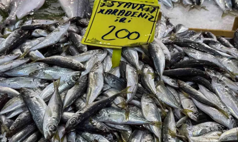 Kocaeli'de balık tezgahlarındaki son durum
