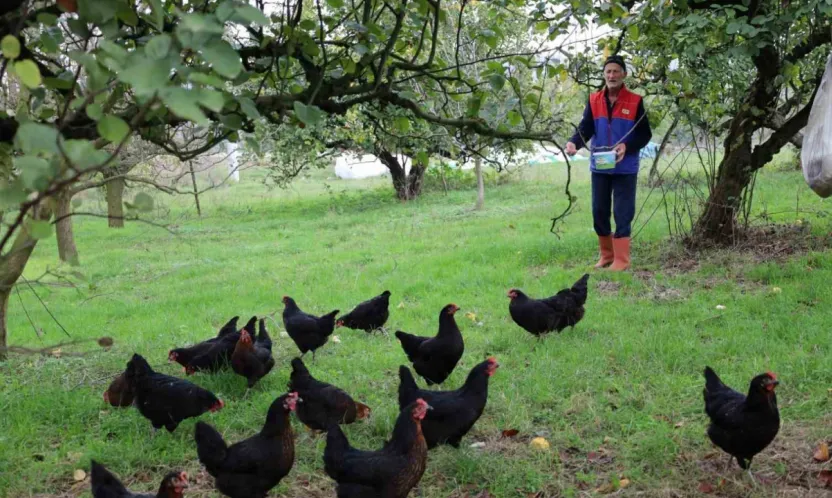 Kocaeli'de kırsal kalkınmaya kanatlı destek