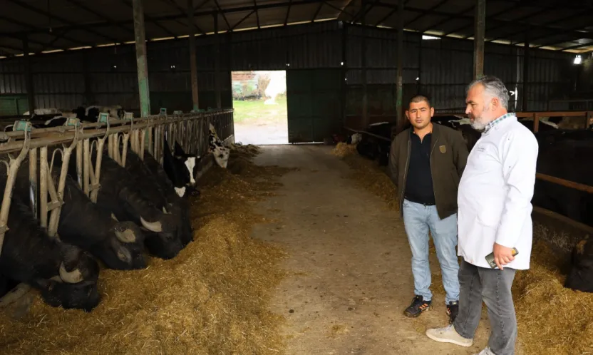 Kocaeli'de manda sayısı Büyükşehir'in desteğiyle artıyor