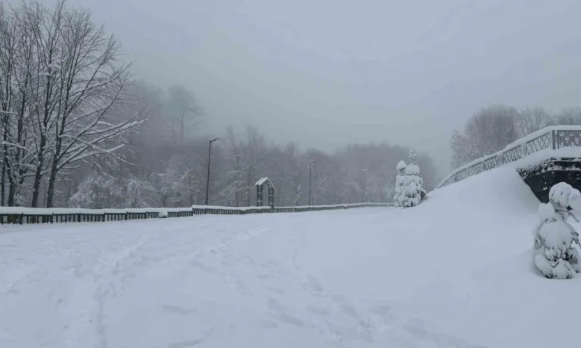Kocaeli'nin yüksek kesimlerine lapa lapa kar yağıyor