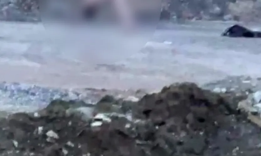 Köprü altında akıllara durgunluk veren görüntüler