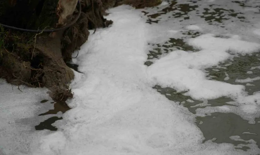 Köpüren dereden ağır kokular yükseliyor