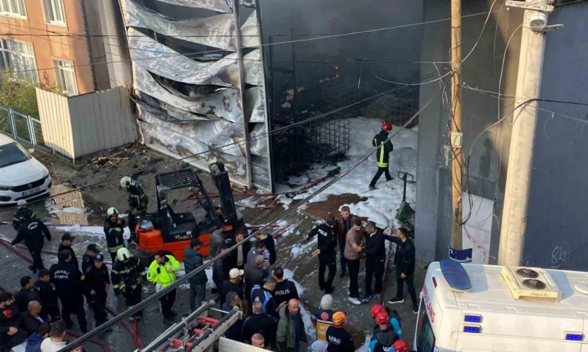 Kocaeli'deki yangında yeni detaylar