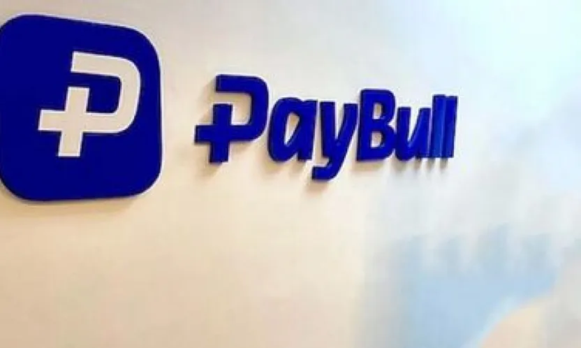 Paybull'a operasyon: 25 gözaltı