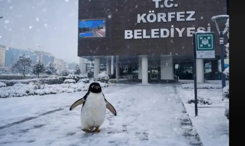 Siyasette penguen savaşı