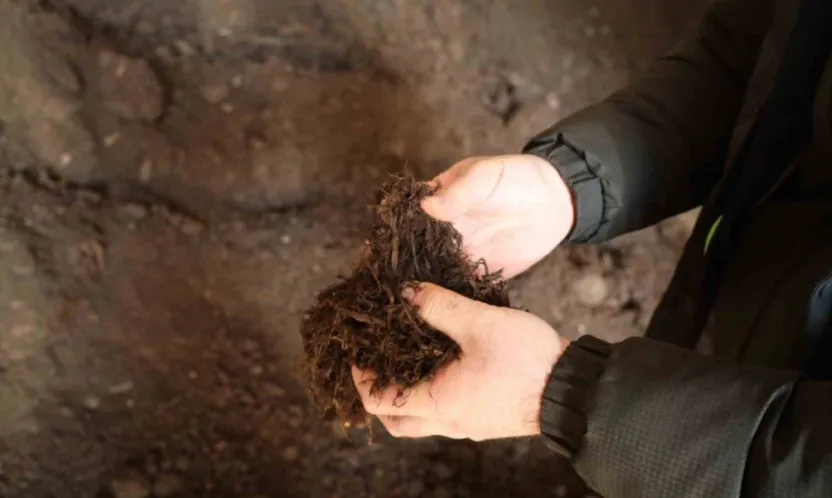 Torf üretimiyle yılda milyonlarca lira tasarruf sağlanıyor