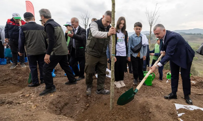 Yanan bölge 3 bin fidanla yeniden yeşerecek